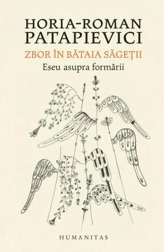 Zbor în bătaia săgeţii