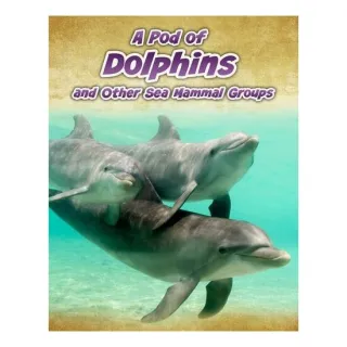 A Pod of Dolphins, and Other Sea Mammal Groups