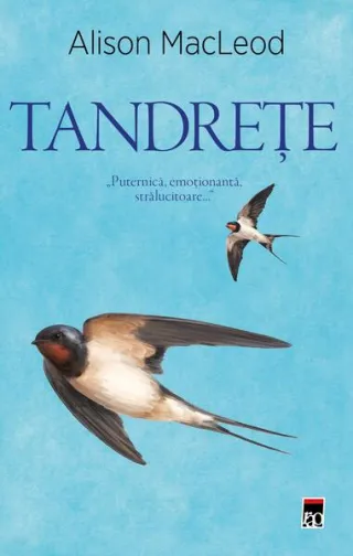 Tandrețe