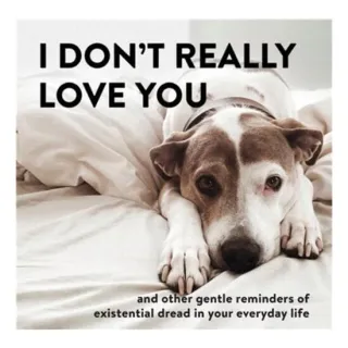 I Don't Really Love You