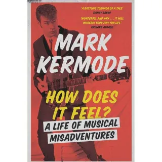How Does It Feel?: A Life of Musical Misadventures