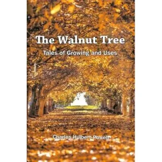 Walnut Tree