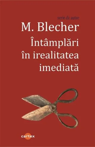 Întâmplări în irealitatea imediată