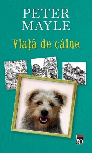 Viaţă de câine