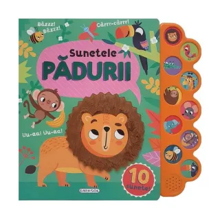 10 sunete - Sunetele pădurii