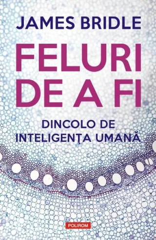 Feluri de a fi