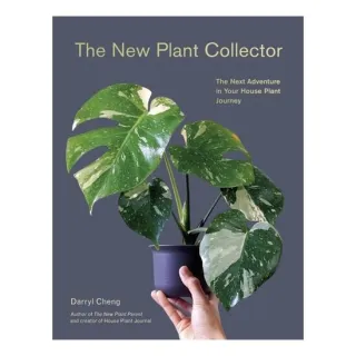 The New Plant Collector The Next Adventure in Your House Plant Journey