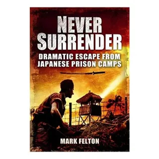 Never Surrender