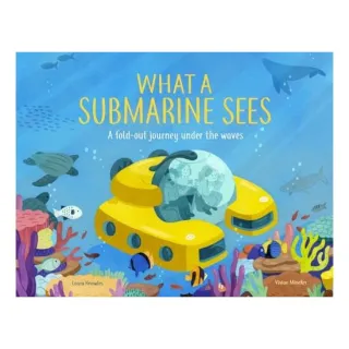 What a Submarine Sees
