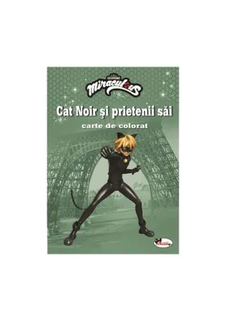 Cat Noir și prietenii săi. Carte de colorat