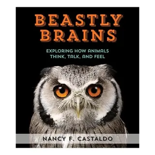 Beastly brains