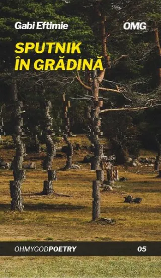 Sputnik în grădină