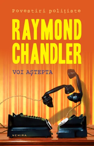VOI AȘTEPTA (paperback)