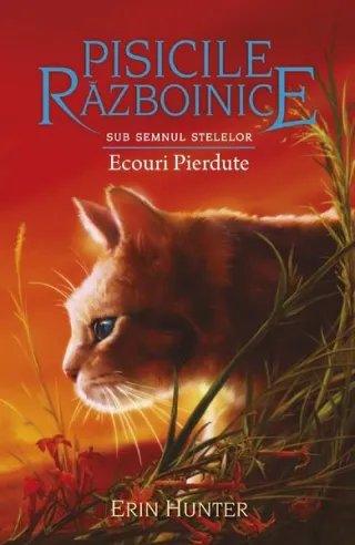 Pisicile războinice. Sub semnul stelelor. Ecouri Pierdute (Vol.20)