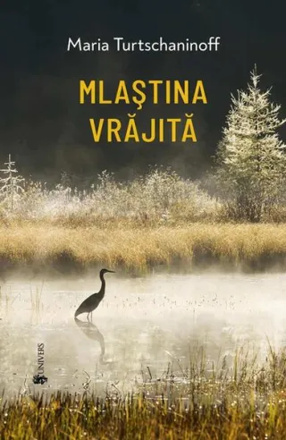 Mlaștina vrăjită