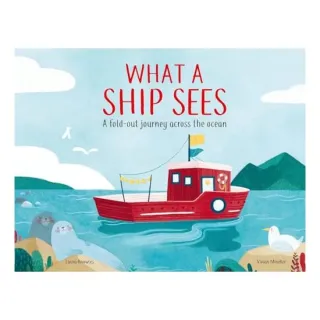 What a Ship Sees