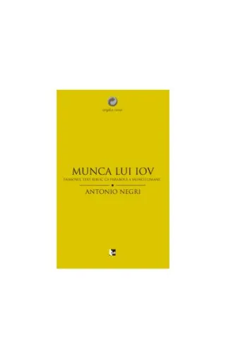 Munca lui Iov. Faimosul text biblic ca parabolă a muncii umane