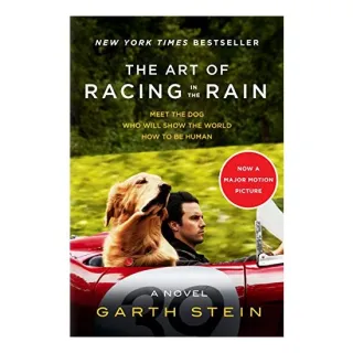 The Art Of Racing In The Rain