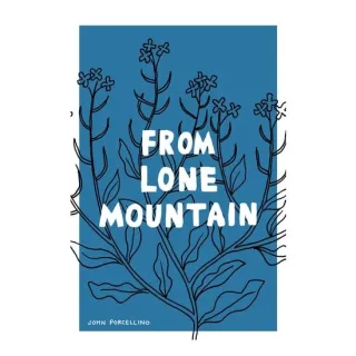 From Lone Mountain