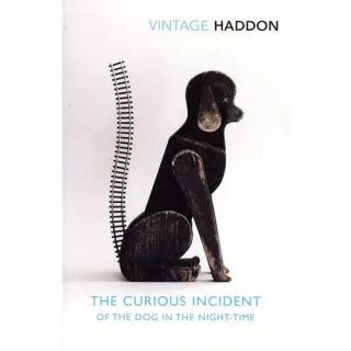 The Curious Incident of the Dog in the Night-Time