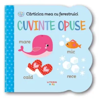 Cuvinte opuse