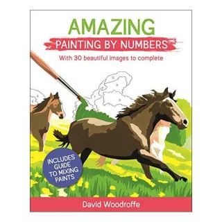 Amazing Painting by Numbers