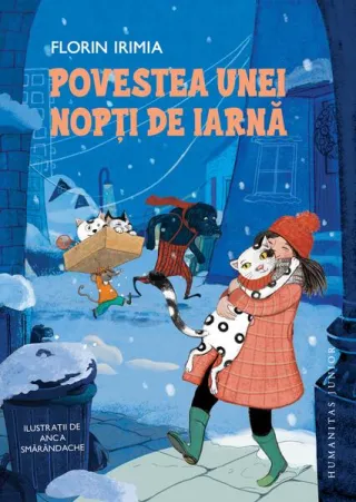 Povestea unei nopți de iarnă