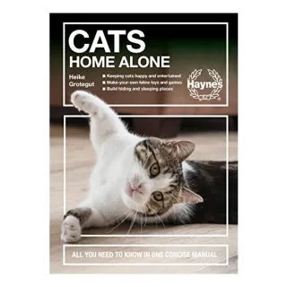 Cats Home Alone