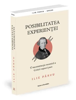 Posibilitatea experienței