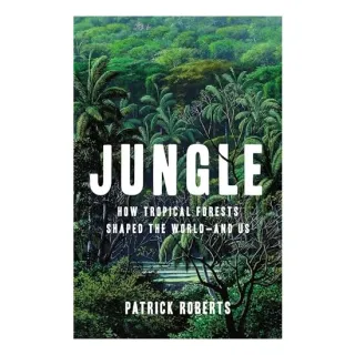 Jungle