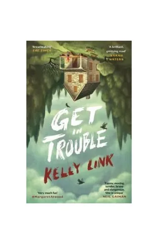 Get in Trouble : Stories