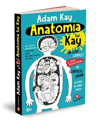 Anatomia lui Kay