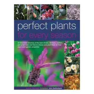 Perfect Plants for Every Season
