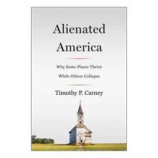 Alienated America