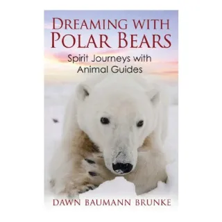 Dreaming with Polar Bears