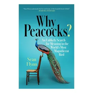 Why Peacocks?