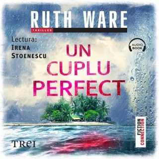 Un cuplu perfect - Audiobook