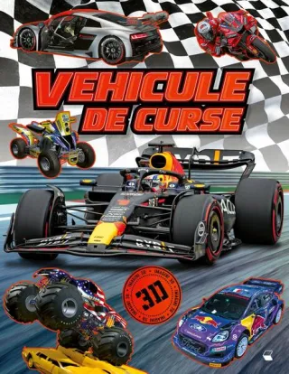 Vehicule de curse 3D