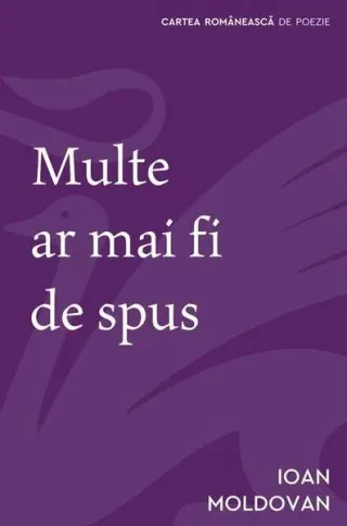Multe ar mai fi de spus