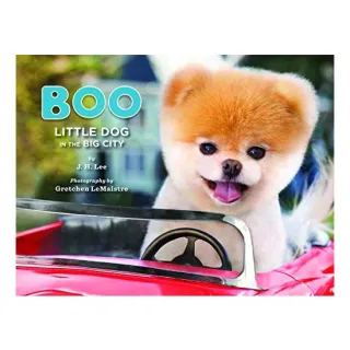 Boo