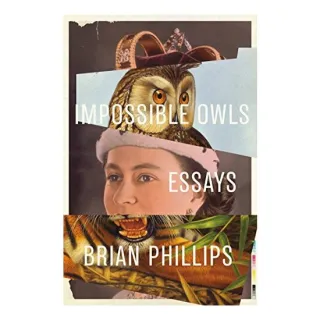 Impossible owls