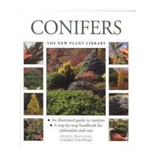 Conifers
