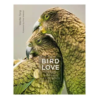 Bird Love
