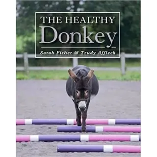 The Healthy Donkey