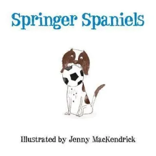 Springer Spaniels