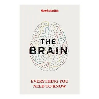 Brain