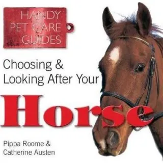 Choosing & Looking After Your Horse