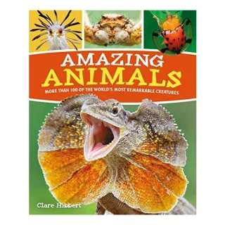 Amazing Animals