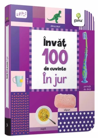 În jur. Învăț 100 de cuvinte (Vol. 3)