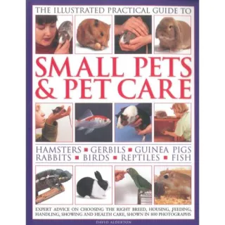 SMALL PETS & PET CARE